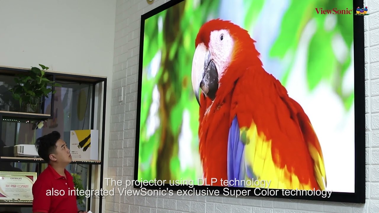 Máy Chiếu Laser ViewSonic LS920WU Thách Thức Mọi Không Gian, Hiển Thị Nội Dung Chất Lượng Cao